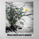 Search for tenacity posters Overcoming