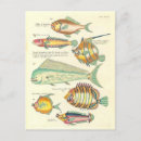 Search for poissons postcards Fish