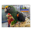 Search for parrot calendars Bird