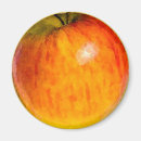 Search for red apple magnets Healthy