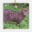 Search for brown tabby cat christmas tree decorations Kitty