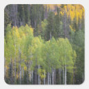 Search for provo stickers Environment
