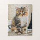 Search for calico cat gifts Cute