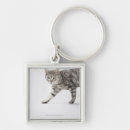 Search for gray cat key rings Animal