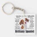 Search for brittany key rings Spaniel
