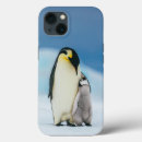 Search for baby chicks iphone cases Animals in the wild
