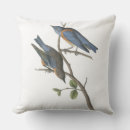 Search for bird nest cushions Branch