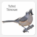 Search for titmouse stickers Tufted