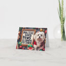 Search for maltese dog christmas cards Santa