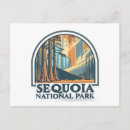 Search for giant tree postcards Sequoia