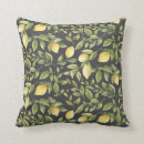 Search for lemon slice cushions Watercolor