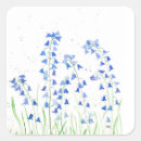 Search for bluebell stickers Nature