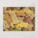 Search for pet food postcards Dog