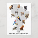 Search for america postcards Animal