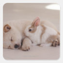 Search for two dogs stickers Baby