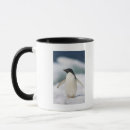Search for adelie penguin mugs Penguins