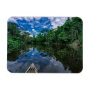 Search for amazons magnets Forest
