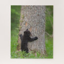 Search for black bear puzzles Danita delimont