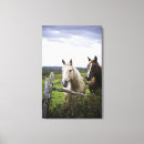 Search for all canvas prints Animal