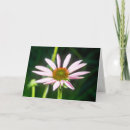 Search for healing prayer cards Christian
