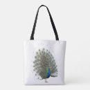 Search for tail feathers bags Nature