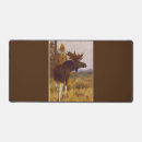 Search for ungulate Antlers