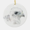 Search for hawks christmas tree decorations Bird of prey