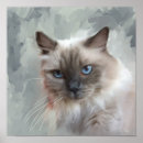 Search for furniture posters Feline