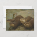 Search for wildlife art postcards Nature photography