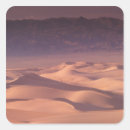 Search for environment stickers Arid