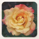 Search for yellow rose coasters Garden