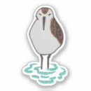 Search for sandpipers electronics Ocean