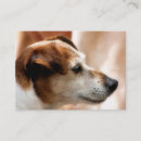 Search for terrier business cards Animals
