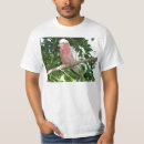 Search for cockatoo tshirts Wildlife