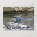 Search for key postcards Photography