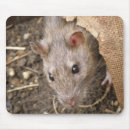 Search for cheeky mousepads Animal
