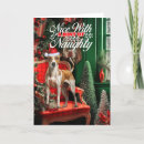 Search for whippet christmas cards Pets