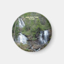 Search for anna magnets Landscape