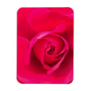 Search for floral rectangular magnets Girly
