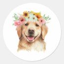 Search for golden retriever stickers Floral