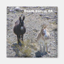 Search for death valley magnets Souvenir
