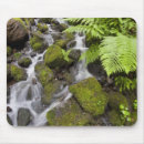 Search for ferns mousepads Outdoors
