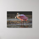 Search for ding art Bird