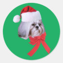 Search for shih tzu puppy stickers Animal