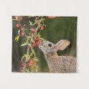 Search for cottontail art Hare