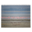 Search for africa calendars Birds