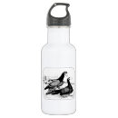 Search for 1980 water bottles Bird