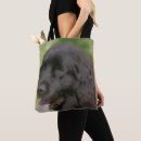 Search for newfies accessories Black