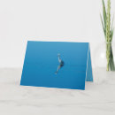 Search for egrets cards Photography