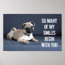Search for lap dog posters Puppy